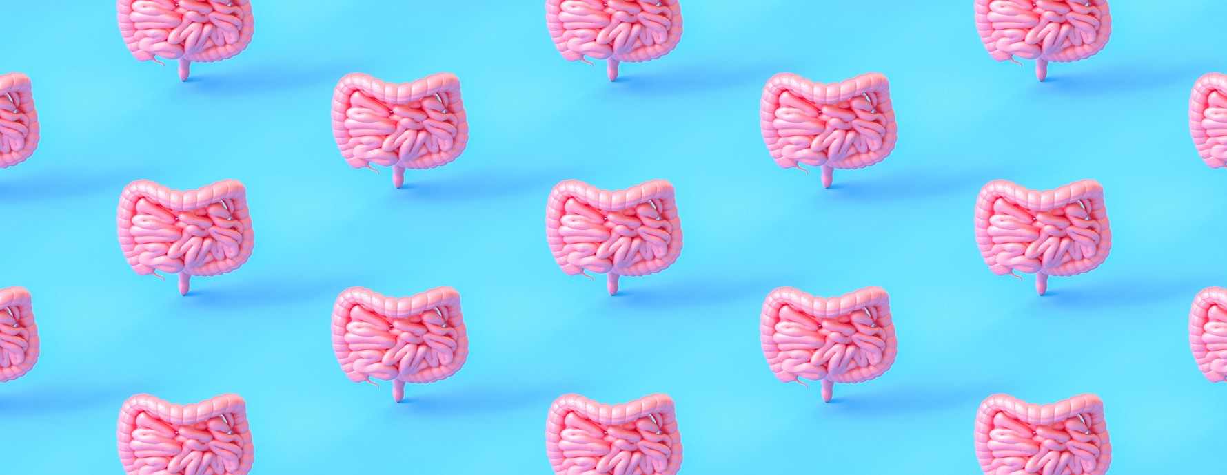 A series of healthy, pink "guts" on a blue background.