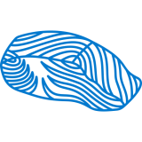 blue salmon icon