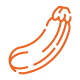 zucchini