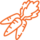 Carrot sticks with hummus